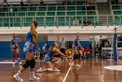dsc2592.webp