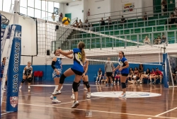 dsc2599.webp