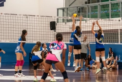 dsc2605.webp