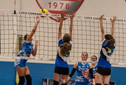 dsc2613.webp