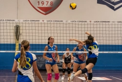 dsc2619.webp