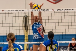 dsc2637.webp