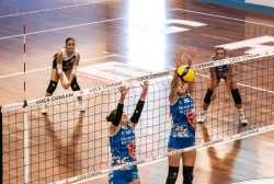 dsc2674.webp