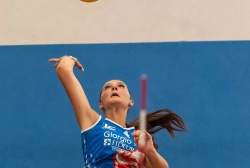dsc2705.webp