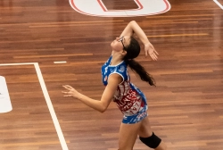 dsc2768.webp