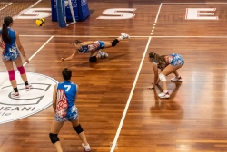 dsc2812.webp