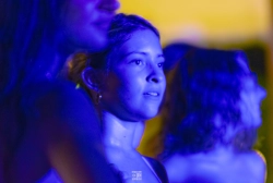 dsc3533.webp