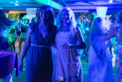 dsc3538.webp