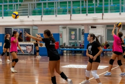 dsc4131.webp
