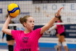 dsc4138.webp