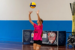 dsc4149.webp