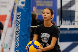 dsc4168.webp