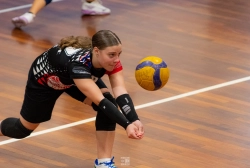 dsc4229.webp