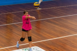 dsc4233.webp
