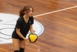 dsc4239.webp