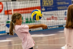 dsc4368.webp