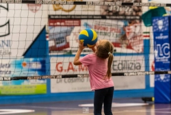 dsc4373.webp