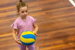 dsc4545.webp