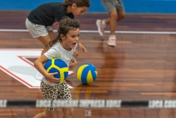 dsc4548.webp