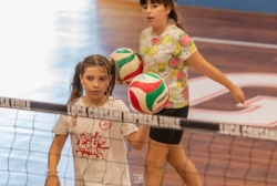 dsc4563.webp
