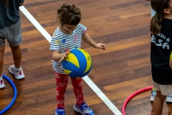 dsc4583.webp