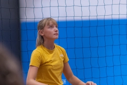 dsc5379.webp