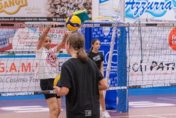 dsc5416.webp