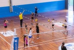 dsc5466.webp
