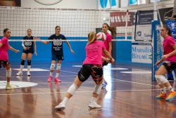 dsc4210.webp