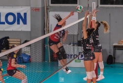 dsc_0449.webp