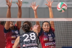 dsc_0807.webp