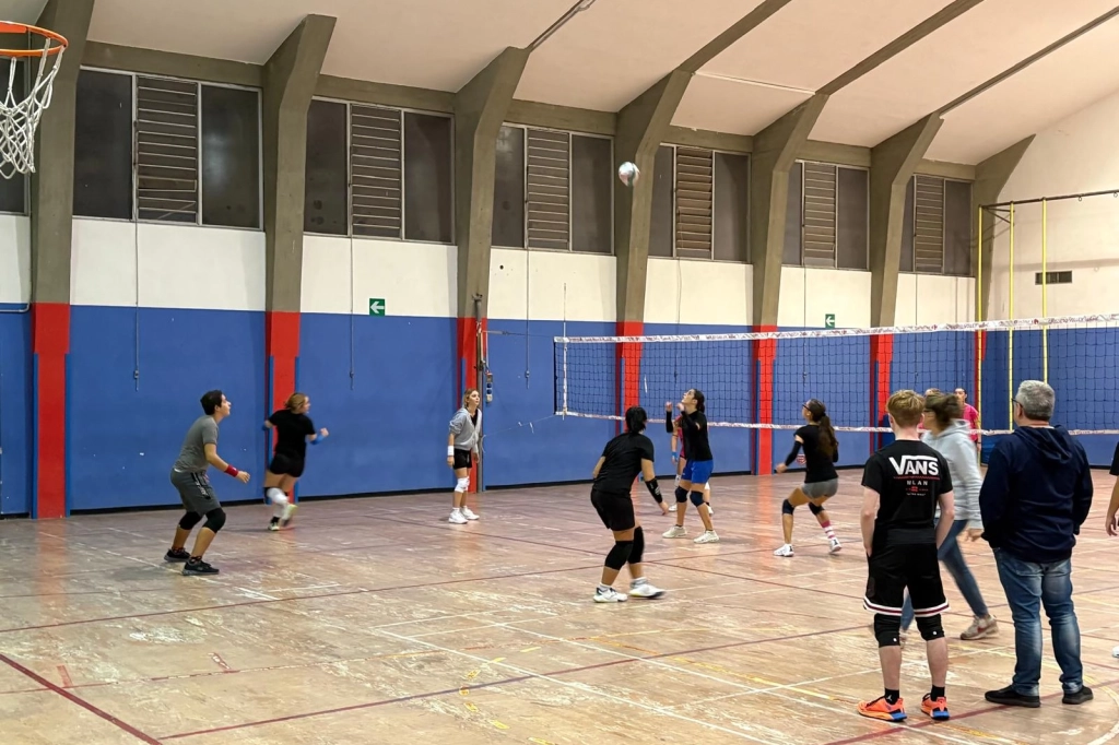 445521.webp