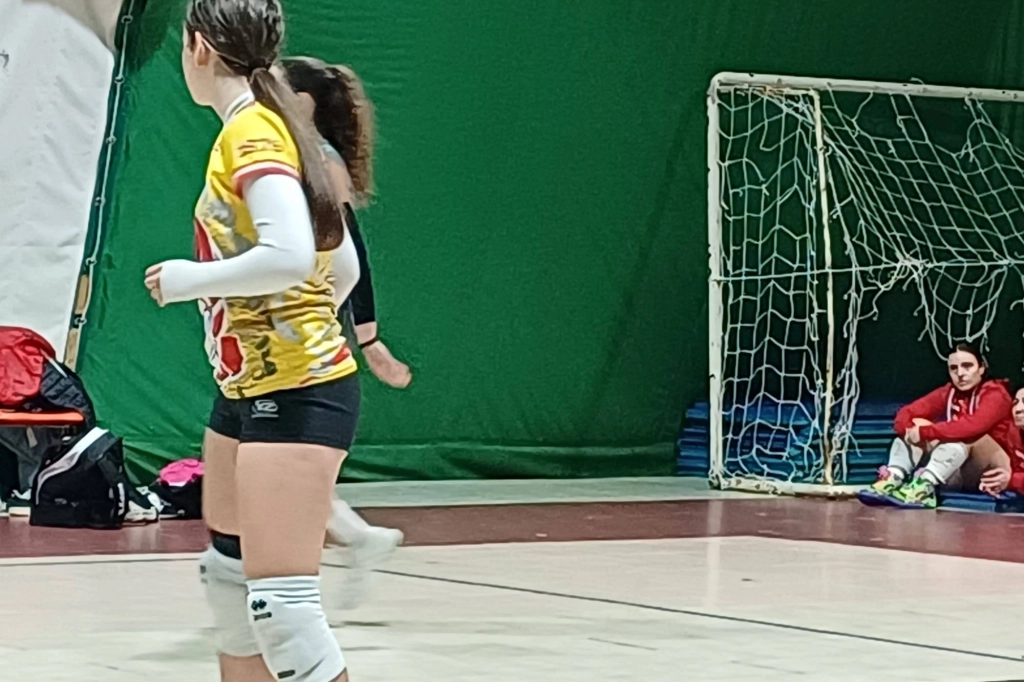 590049287_1426520219473617_8707171285598471612_n.webp