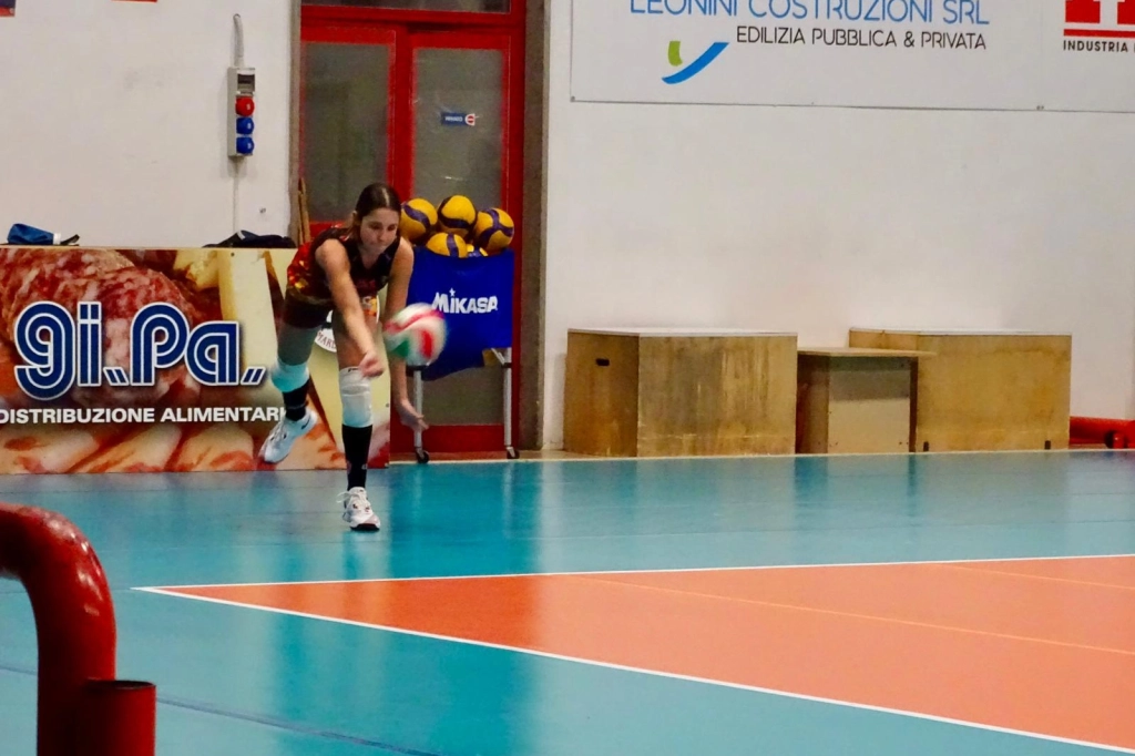 1114.webp