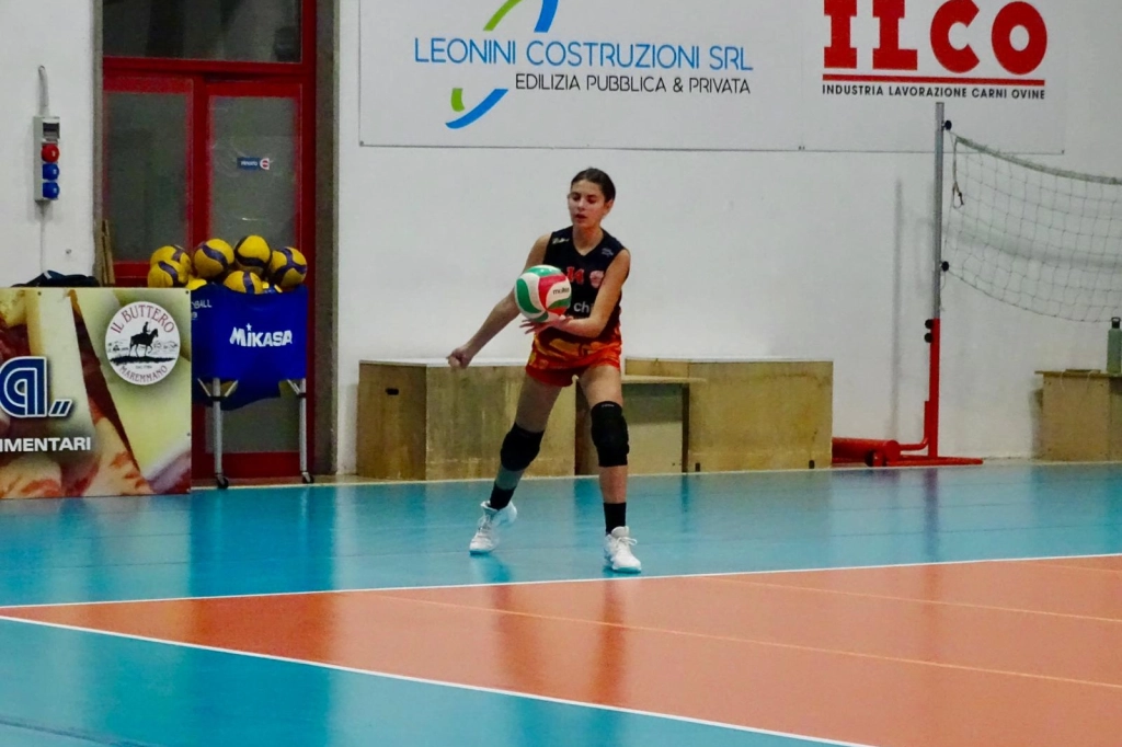 336.webp