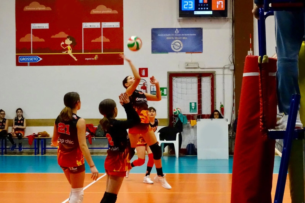 556.webp