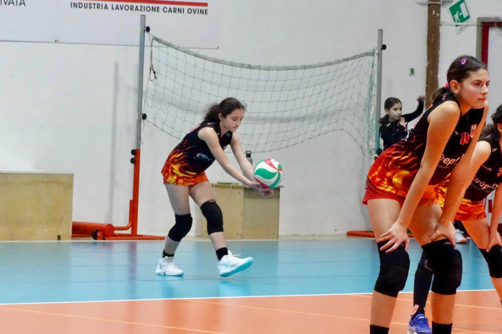 88852.webp