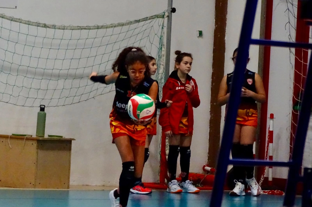 88885.webp