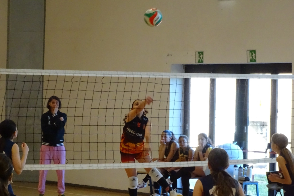 701120055_1596345879157716_1848444708906786483_n.webp