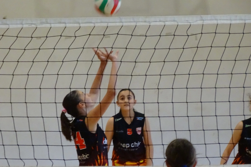701901404_1596345275824443_1373326058853764249_n.webp