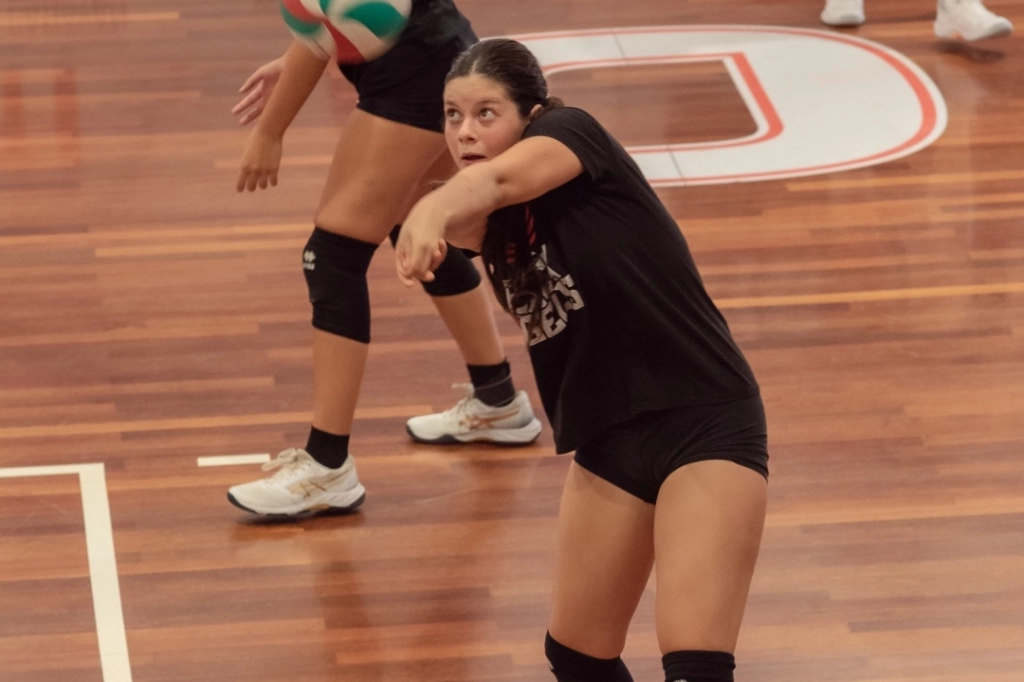 dsc_7209.webp