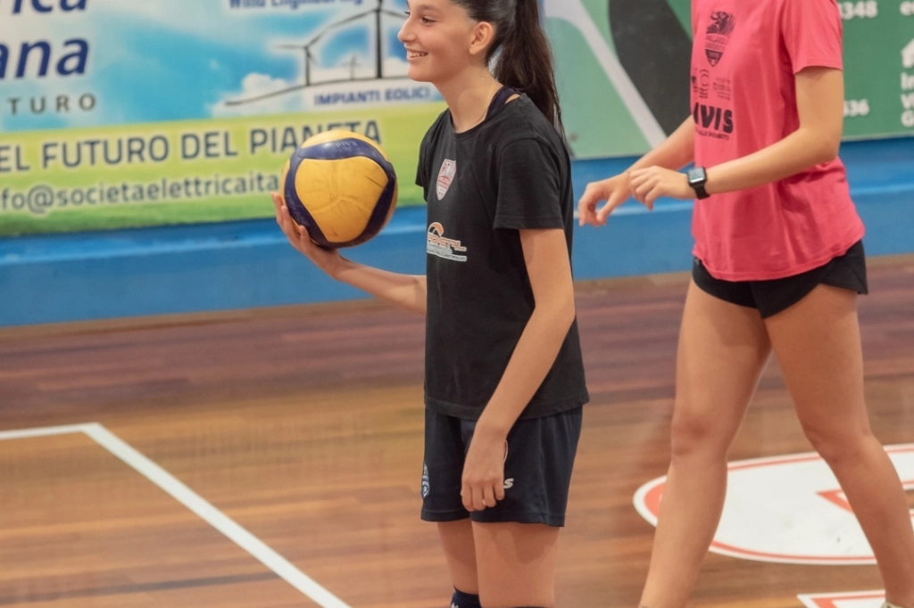 dsc_7236.webp