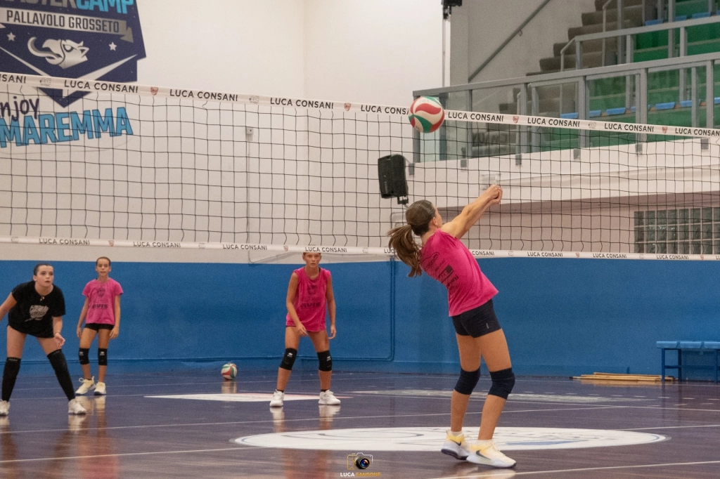 dsc_4061.webp