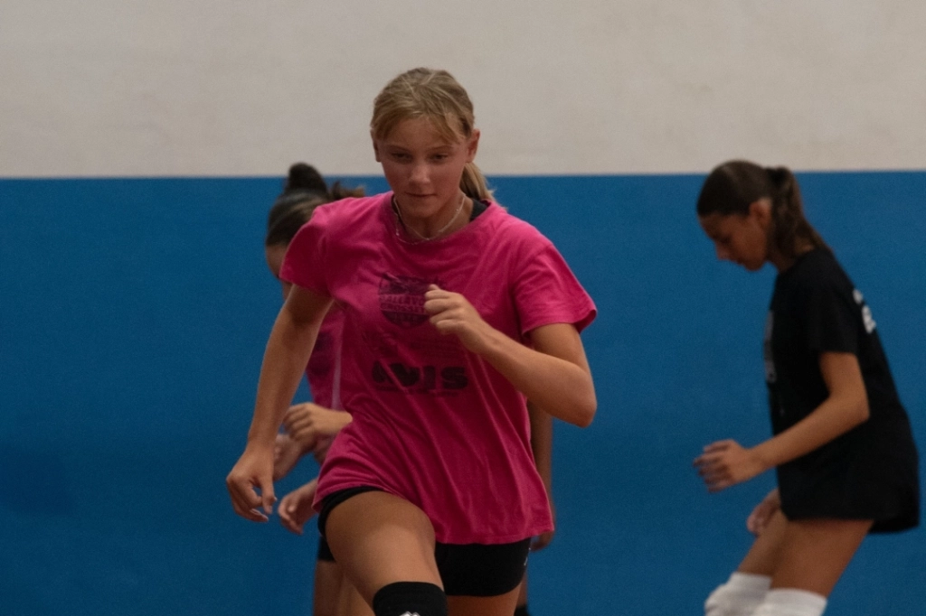 dsc_7270.webp