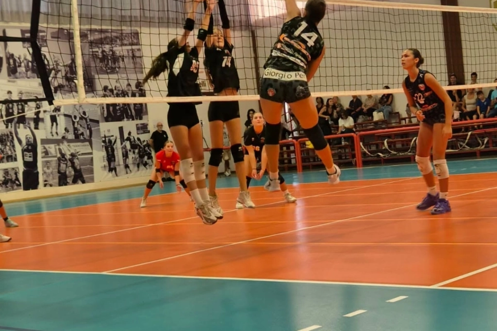 817176847_1093663696801828_3805422728465248720_n.webp
