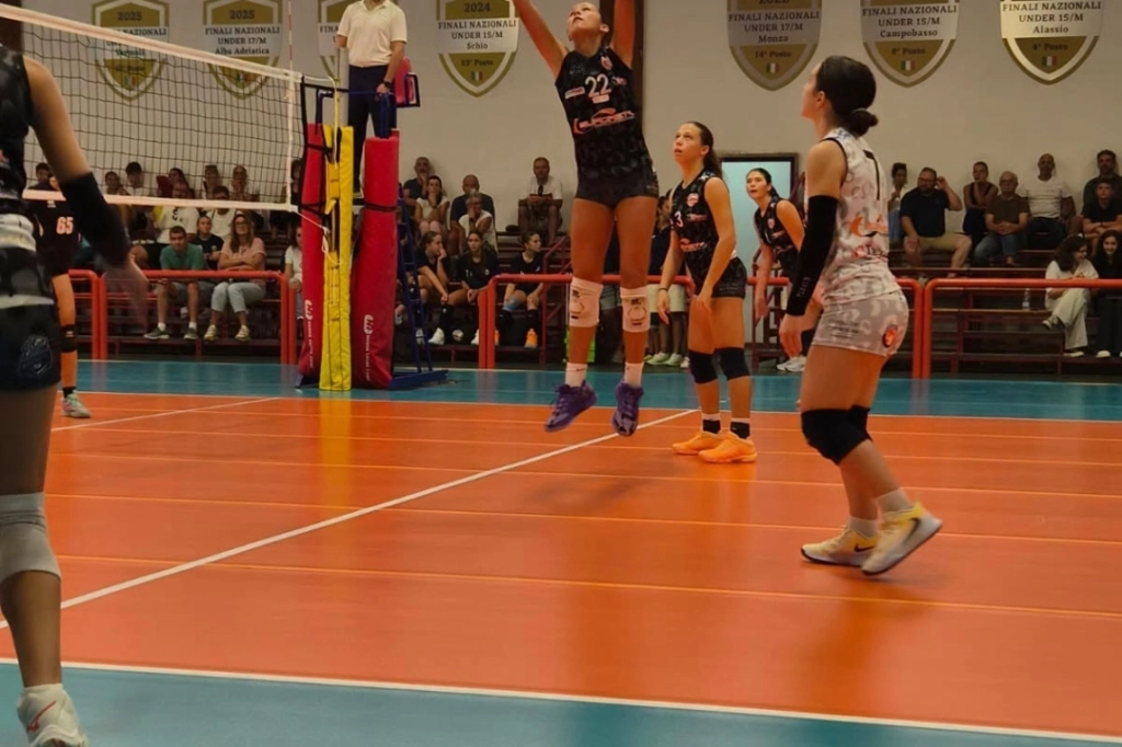 817198150_1610383697479514_3767636328964949868_n.webp