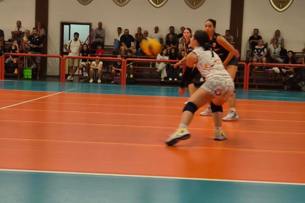 818353537_1494488349366713_7259057645390633416_n.webp