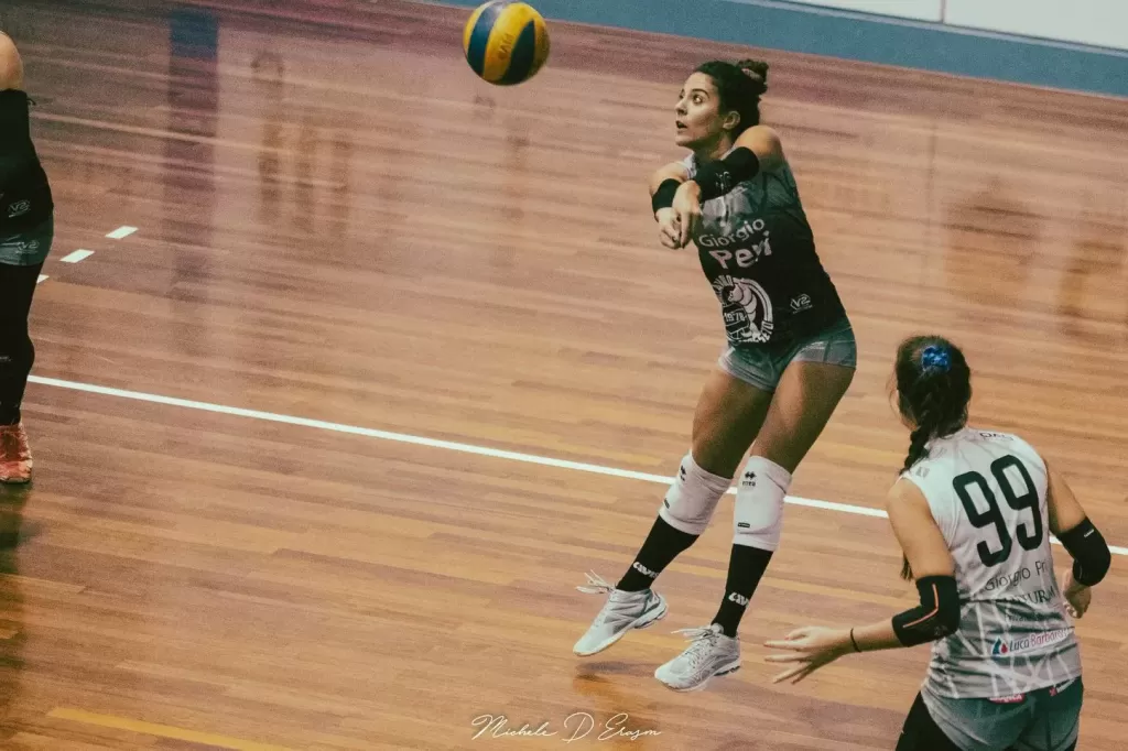 dsc_1593.webp
