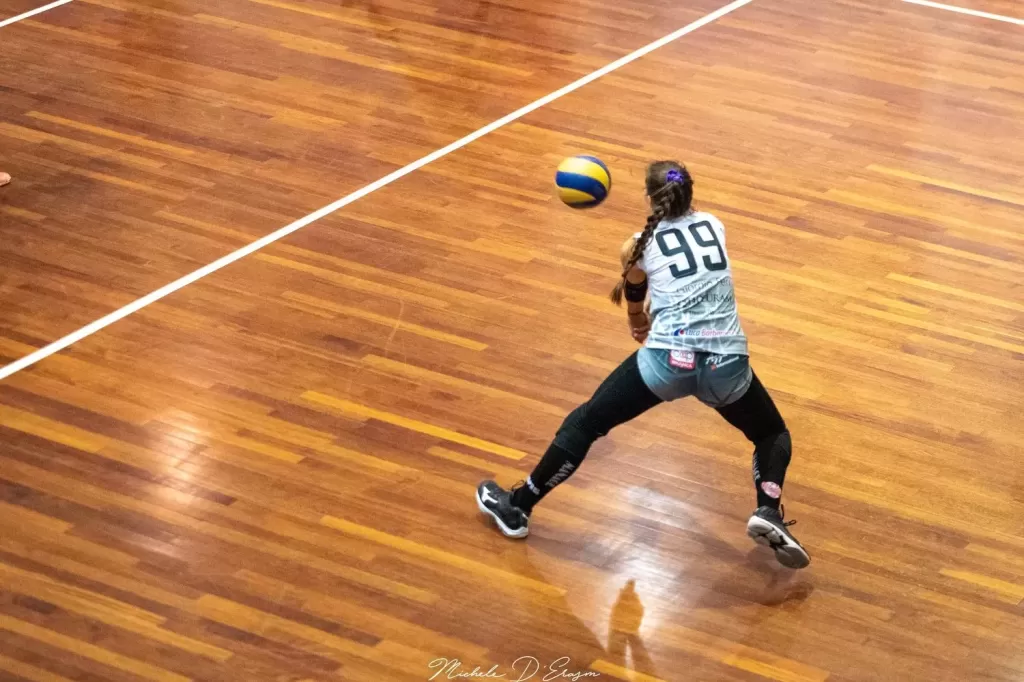 dsc_1753.webp