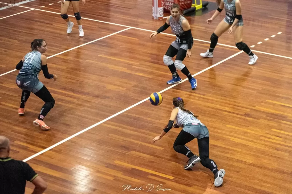 dsc_1768.webp